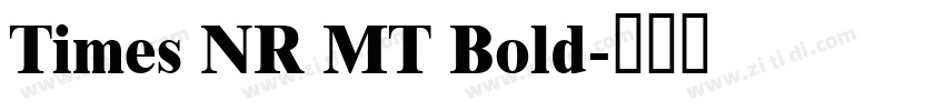Times NR MT Bold字体转换